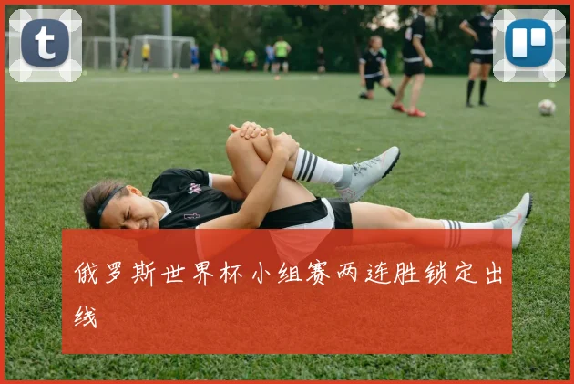 俄罗斯世界杯小组赛两连胜锁定出线