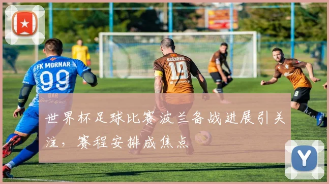 世界杯足球比赛波兰备战进展引关注,赛程安排成焦点