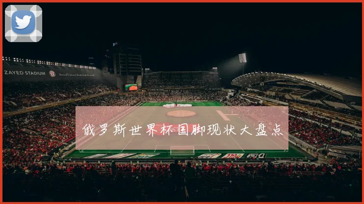 俄罗斯世界杯国脚现状大盘点