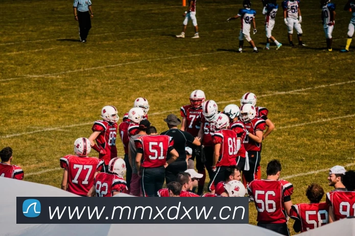 滚球官网app服务体系